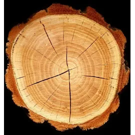 YODEYMA Caribbean Eau de Parfum 100 ml