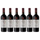 Novantaceppi Primitivo Puglia IGT Rotwein halbtrocken (6 x 0.75 l)