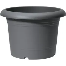 Scheurich Oliver Ø 45 x 28 cm Grau