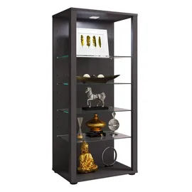 VCM Holz Glas Stand Vitrine Sammelvitrine Glasol lll