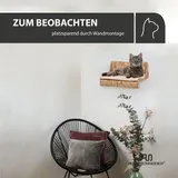 Rohrschneider Katzenkletterwand Fenja | Stilvolle Katzenmöbel | Wandmontage für aktive Stubentiger | Katzenspielzeug und perfekter Kratzbaumersat...