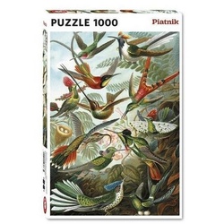 Piatnik Puzzle 5528 – Haeckel: Kolibris – Puzzle, 1000 Teile, 1000 Puzzleteile bunt