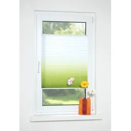 LIEDECO Plissee »Farbverlauf« Lichtschutz ohne Bohren verspannt, 210679-4 grün,