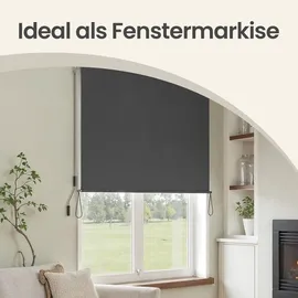 Songmics Seitenmarkise 1,4 x 2,5 m grau Polyester