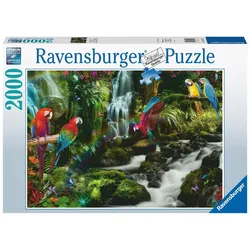 Ravensburger Puzzle - Bunte Papageien im Dschungel - 2000 Teile