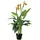 Europalms Strelizie, Kunstpflanze, 90cm