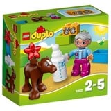 LEGO 10521 - Duplo Baby-Kalb