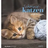 ALPHA EDITION GmbH & Co. KG Alpha Edition - Schmusekatzen 2025 Postkartenkalender, 16x17cm, Kalender mit Postkarten zum Heraustrennen, Monatsübersicht, zum Aufstellen oder Aufhängen und internationales Kalendarium