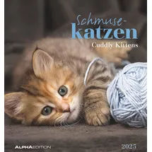 ALPHA EDITION GmbH & Co. KG Alpha Edition - Schmusekatzen 2025 Postkartenkalender, 16x17cm, Kalender mit Postkarten zum Heraustrennen, Monatsübersicht, zum Aufstellen oder Aufhängen und internationales Kalendarium