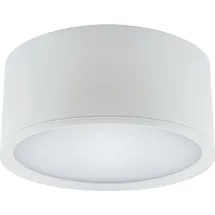 Licht-Erlebnisse LED Deckenstrahler Aufputz Aluminium 4100 K 1330 lm rund D: 15 cm Weiß Deckenspot - Weiß