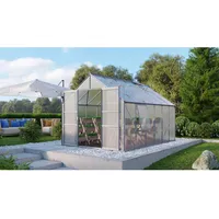 Vitavia Gewächshaus Meridian 9900 Alu 9,9 m2 inkl. Fundament
