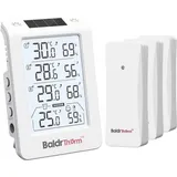 BaldrTherm Funk-Thermometer digital Weiß B0598T4H4