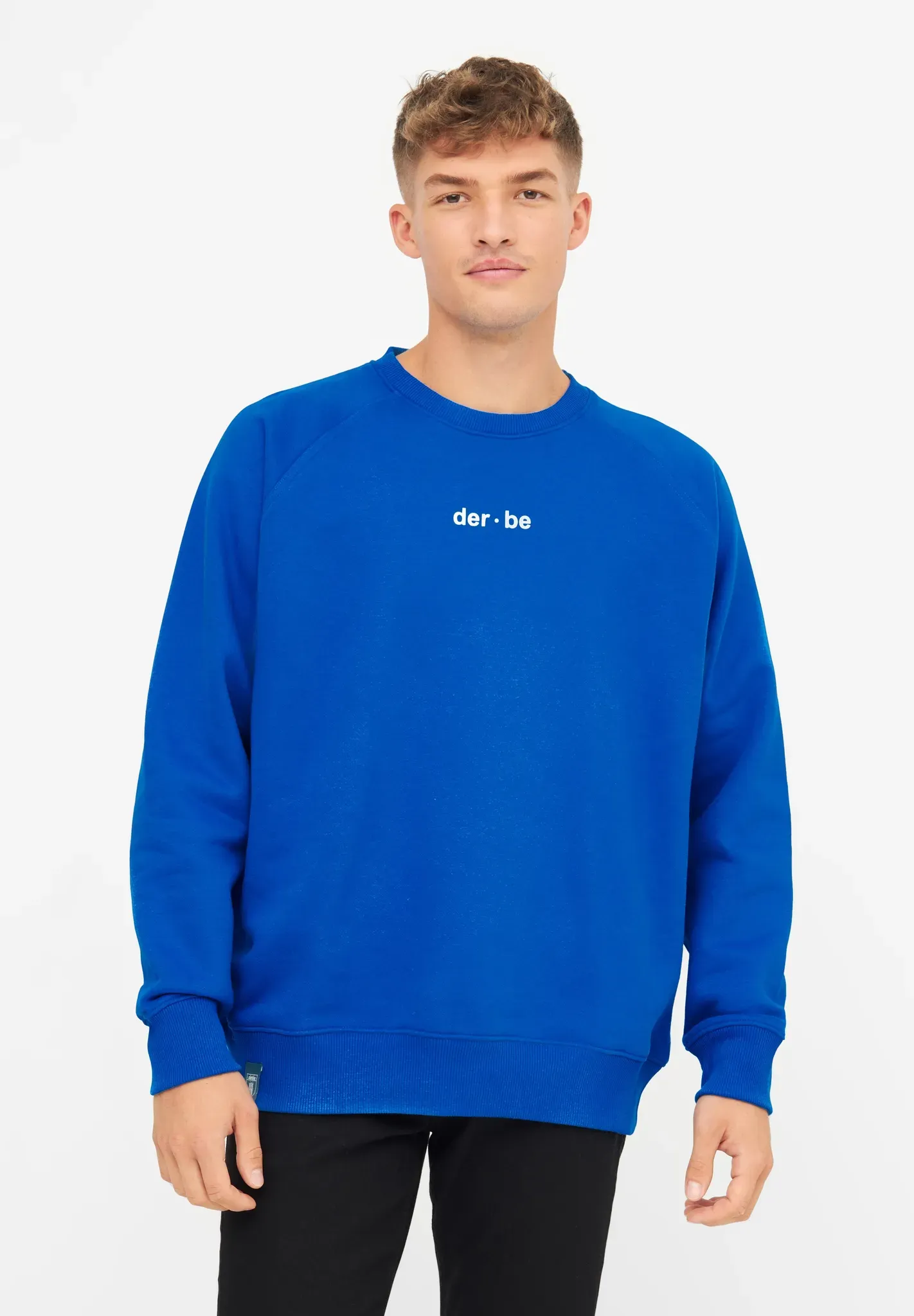 Sweatshirt DERBE "Derbe Bedeutung" Gr. L, blau (blue) Herren Sweatshirts Rückenprint, Nachhaltig, Organic Cotton