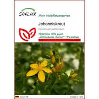 SAFLAX - Heilpflanzen - Johanniskraut - 300 Samen -