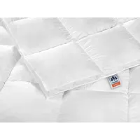 IRISETTE Daunendecke Nora extra warme Winterdecke mit Bezug aus 100% Baumwolle. Füllung aus 100% Daunen der Klasse I, 155 x 220 cm, Öko-Tex Zertifiziert, produziert nach deutschem Qualitätsstandard