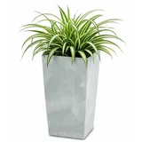 Prosperplast Urbi Square Beton Effect