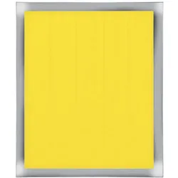 Thermal Grizzly Kapton Insulation Sheet 10 x 60 mm