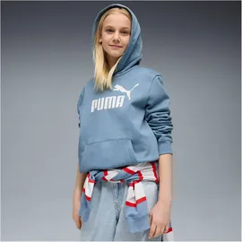 Puma Hoodie Coolblue 176