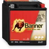 Banner GT30-3 30 Ah 385 A