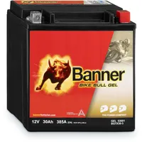 Banner GT30-3 30 Ah 385 A