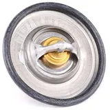 BorgWarner (Wahler) BORGWARNER Thermostat, Kühlmittel 3141.87D für VW