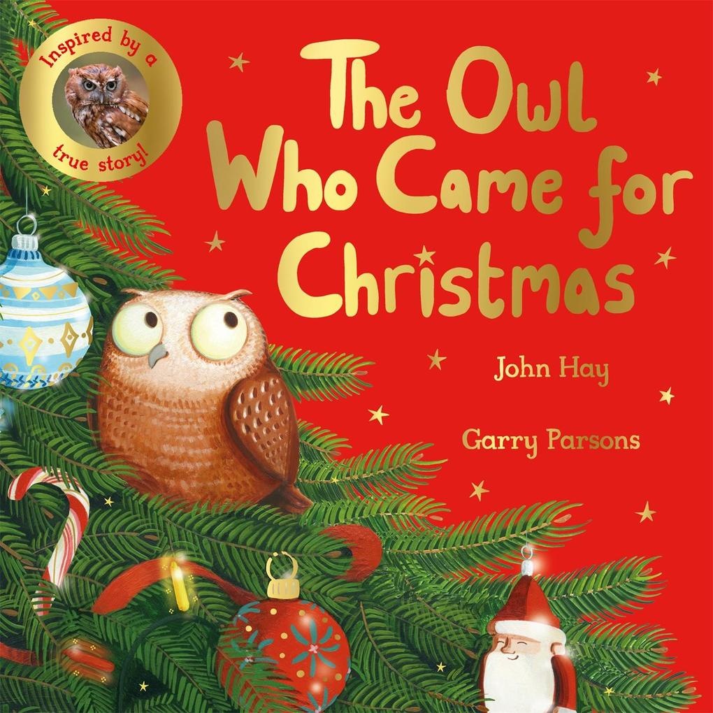 The Owl Who Came for Christmas: eBook von John Hay