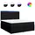 vidaXL Boxspringbett 180 x 200 cm Schwarz
