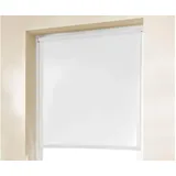 K-HOME Seitenzugrollo