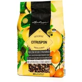 LECHUZA CITRUSPON