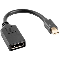 Lanberg Displayport Mini > Displayport Adapter