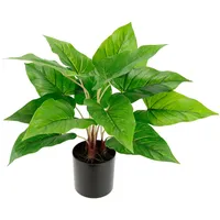 I.GE.A. Anthuriumblatt Pothos, im Topf, Höhe 40 cm