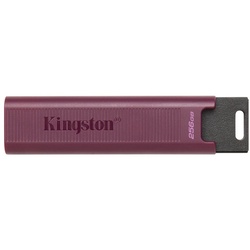 Kingston KINGSTON DT-Maxa 256GB USB-Stick