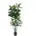Europalms Gummibaum, Kunstpflanze,150cm