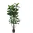Europalms Gummibaum, Kunstpflanze,150cm