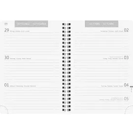 Baier & Schneider Schülerkalender 2026/2027 "ZENart" A5, Kunststoff