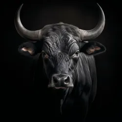 EUROART Wandbild 55 x cm Black Bull I Holz Schwarz