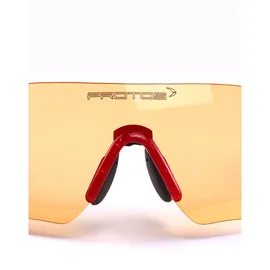 Protos Schutzbrille