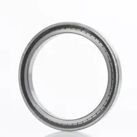 INA Zylinderrollenlager SL182984 TBC3