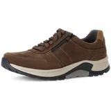 Gabor Pius Gabor Sneaker in braun, / 9 UK
