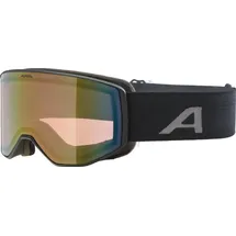 Alpina Venet Q Skibrille-Schwarz-One size