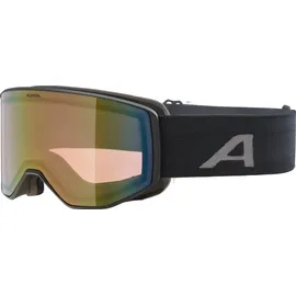 Alpina Venet Q Skibrille-Schwarz-One size