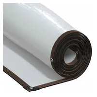 VidaXL Pflanzenabdeckung mit Ösen 1x10 m Polyethylen