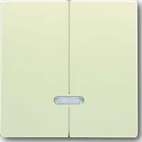 Busch-Jaeger Wippschalter 6545-82