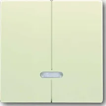 Busch-Jaeger Wippschalter 6545-82