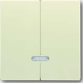 Busch-Jaeger Wippschalter 6545-82
