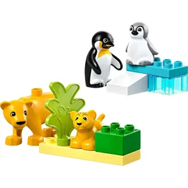 LEGO DUPLO - Wildtier-Familien: Pinguine und Löwen (10442)