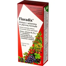 SALUS Floradix Elixir Flüssigkeit 250 ml