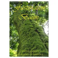 Calvendo Faszination Baum (Wandkalender 2026 DIN A3 hoch), CALVENDO