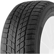 Doublestar DW09 245/40 R18 93H 3PMSF
