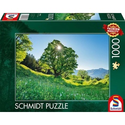 Schmidt Spiele Puzzle Puzzle – Berg-Ahorn im Sonnenlicht, St. Gallen (1000 Teile), Puzzleteile